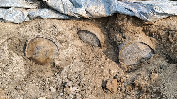 춘천 옛 캠프페이지 문화재 발굴 부지에서 27일 발견된 유류통들이 흙에 묻혀있다. (사진=박지영 기자)