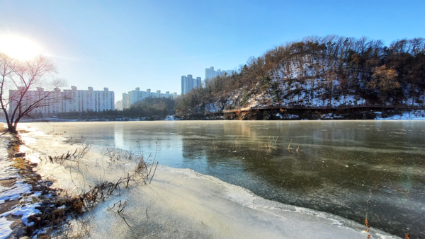 연일 이어지는 한파로 춘천 공지천이 올 겨울들어 처음으로 얼었다. (사진=박지영 기자)