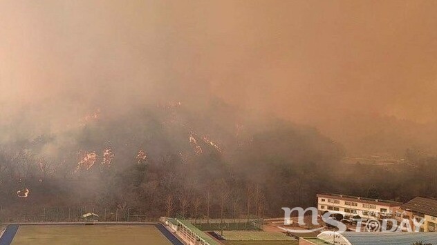 동해 하랑중학교 인근 야산으로 불이 옮겨 붙어 하늘이 매캐한 연기로 뒤덮였다. (사진=독자제공)