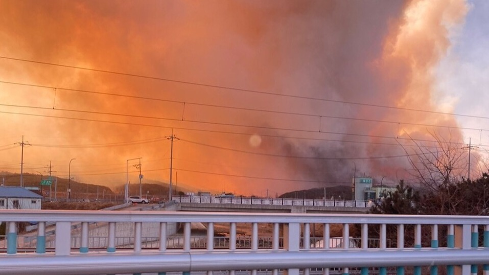 동해 망상지역에 산불이 발생해 연기가 자욱하다. (사진=독자제공)