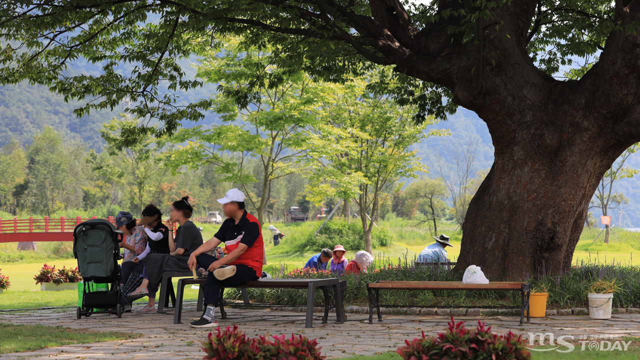 400년 동안 한자리를 묵묵히 지켜온 사랑나무는 공원을 찾은 시민들에게 그늘이 되어주고 있다. (사진=박지영 기자)