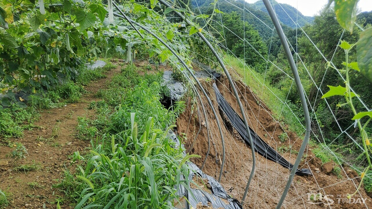춘천 동면의 농가 시설물이 폭우로 인해 망가졌다. (사진=동면 행정복지센터 제공)
