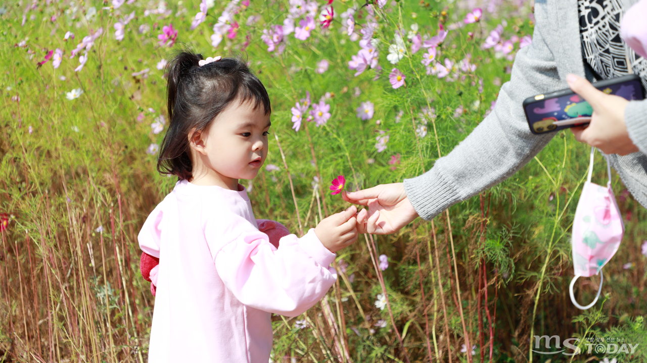 홍천 수변생태공원을 찾은 한 모녀가 코스모스를 보며 가을 추억을 남기고 있다. (사진=박지영 기자)