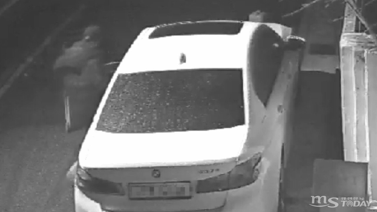 11월 23일 새벽 3시 40분쯤 춘천시 후평동의 공원 인근에서 한 남성이 주변을 살피다 주차된 차량 문을 열고 들어가고 있다. (사진=온라인 커뮤니티 보배드림 갈무리)