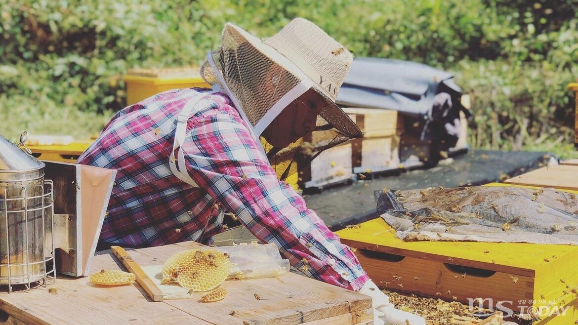 양봉 중인 권수연 대표. 권 대표는 "나부터 환경 보호를 실천하자"는 마음으로 꿀벌을 관리하고 있다. (사진=미더리봉자 제공)