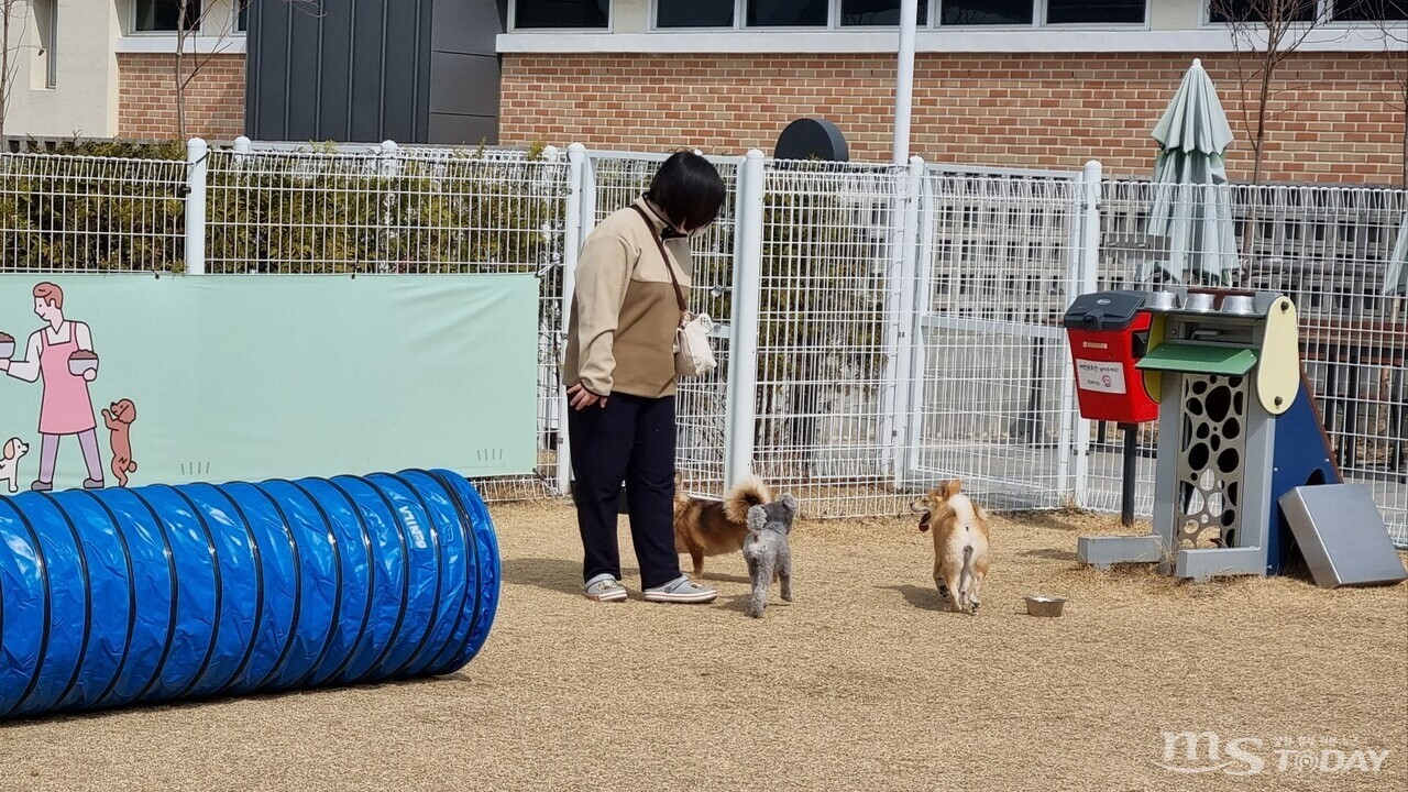 15일 춘천시 반려견놀이터에서 보호자와 강아지들이 즐거운 시간을 보내고 있다. (사진=이현지 기자)