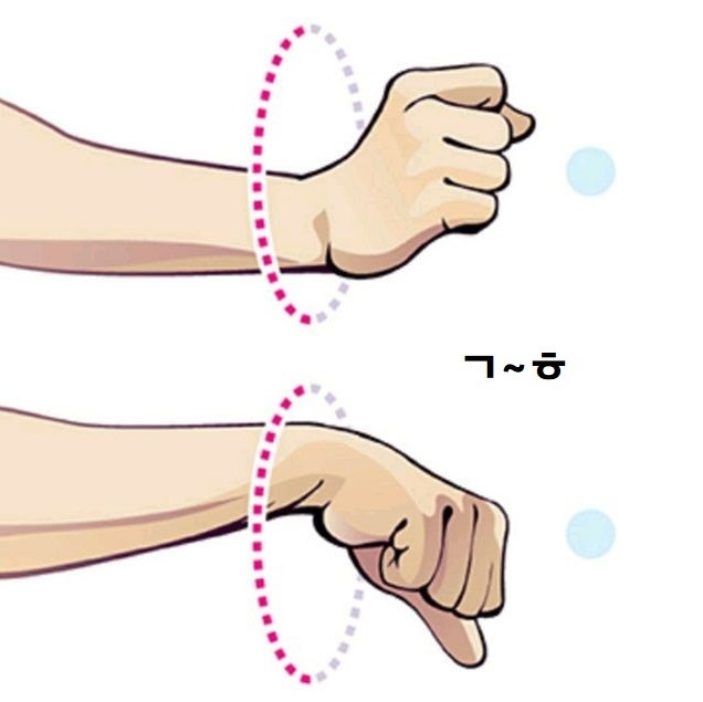 손목을 사용해 “ㄱ”부터 “ㅎ”까지 쓰는 훈민정음 운동