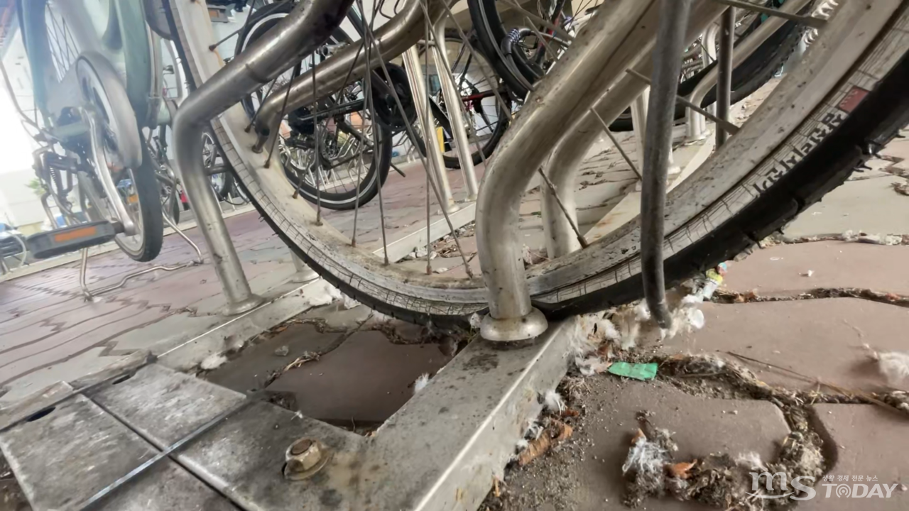 앞바퀴에 바람이 빠진 자전거가 남춘천역에 장기간 방치돼 있다. (사진=이정욱 기자)