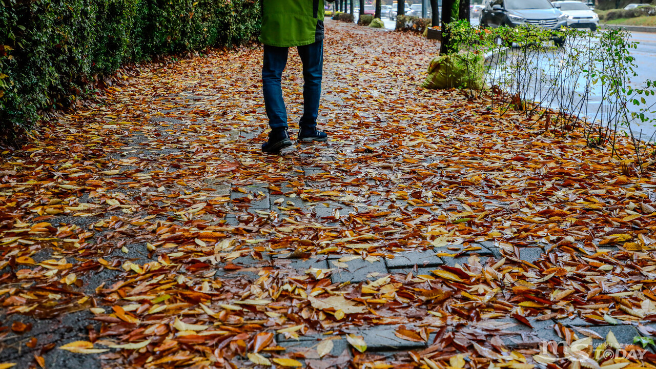 6일 춘천시 석사동에서 한 시민이 비에 젖어 미끄러운 낙엽 위를 조심히 걷고 있다. (사진=이정욱 기자)