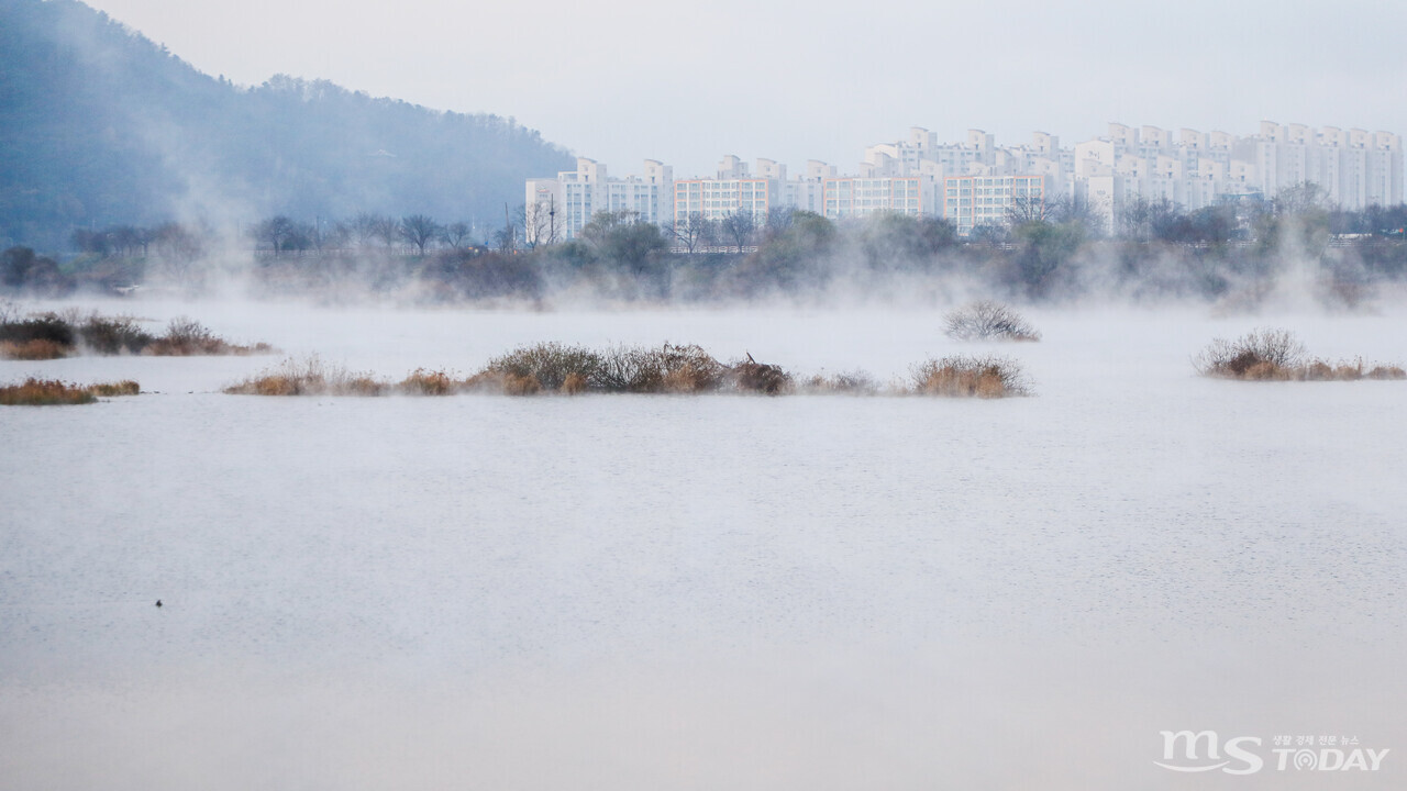 춘천 소양강에 물안개가 한 폭의 그림같이 피어올랐다. 물안개는 전날 데워졌던 수면이 밤 동안 큰 폭으로 식으면서 발생한다. (사진=이정욱 기자)