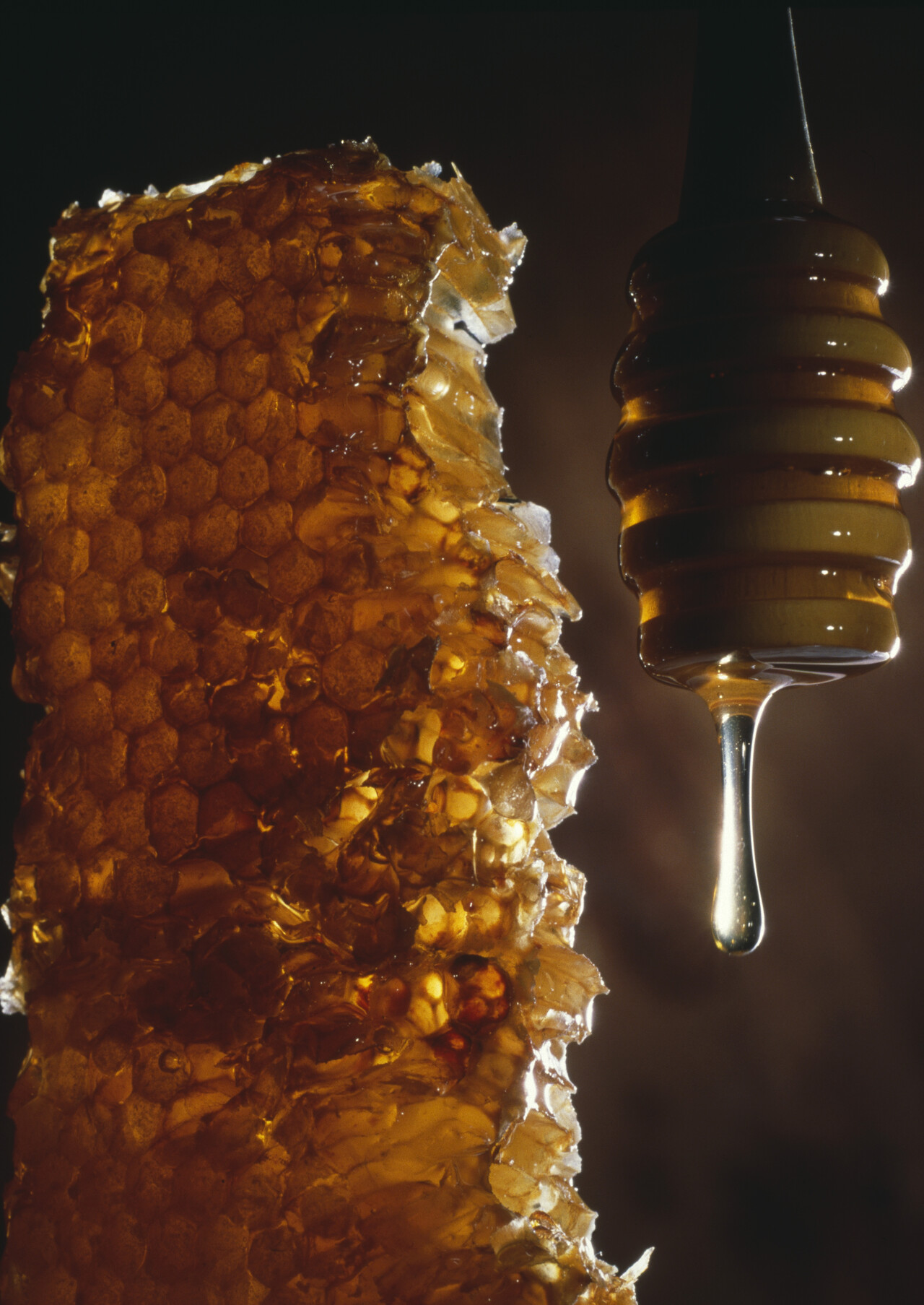 도문대작, '봉밀(蜂蜜). 평창의 석밀(石蜜)이 가장 좋고, 곡산(谷山)과 수안(遂安)의 꿀 역시 훌륭하다.' 사진=클립아트코리아